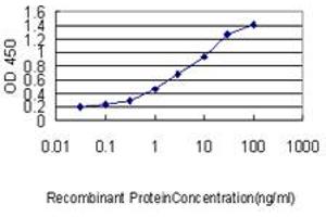 Detection limit for recombinant GST tagged CBX5 is approximately 0. (CBX5 Antikörper  (AA 1-191))