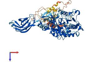 PLA2G4A Protein (AA 1-748) (His tag)