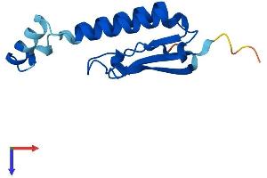 Golgin A7 Protein (GOLGA7) (AA 1-137) (His tag)