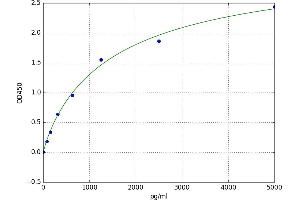 Mitogen-Activated Protein Kinase 15 (MAPK15) ELISA Kit