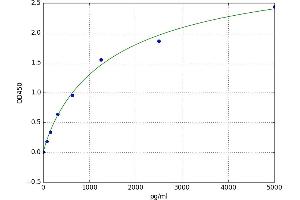A typical standard curve (MAPK15 ELISA Kit)