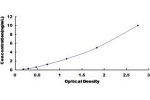 Typical standard curve (SUOX ELISA Kit)