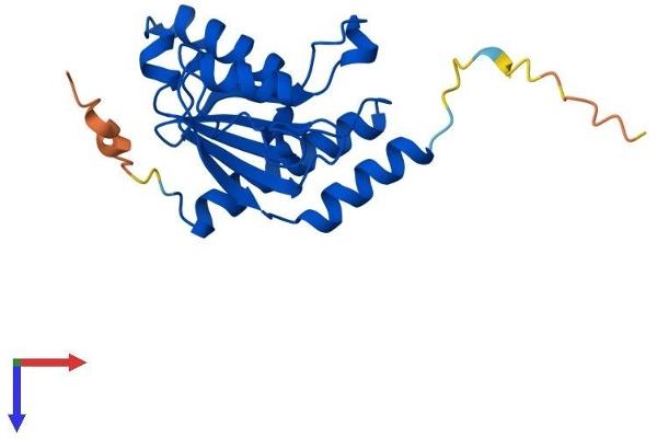ADAT2 Protein (AA 1-191) (His tag)