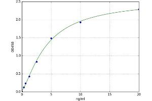 Mixed Lineage Kinase Domain-Like (MLKL) ELISA Kit