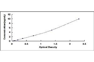 Typical standard curve (VASP ELISA Kit)