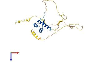 MIXL1 Protein (AA 1-232) (His tag)