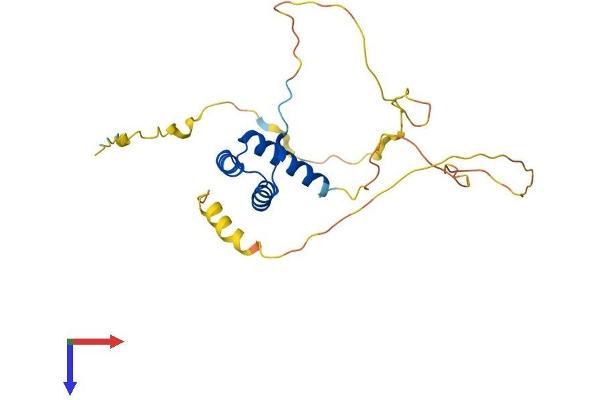 MIXL1 Protein (AA 1-232) (His tag)