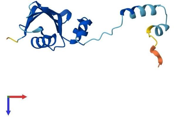 RPS24 Protein (AA 1-133) (His tag)