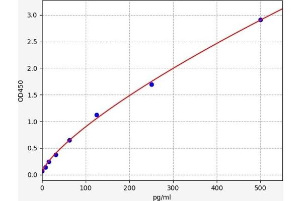 HNF1B ELISA Kit