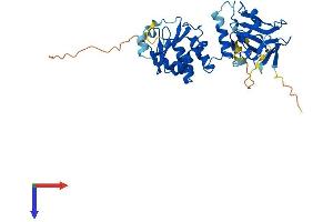 DUSP12 Protein (AA 1-340) (His tag)