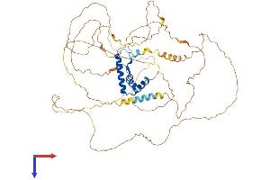 TCF7L1 Protein (AA 1-588) (His tag)