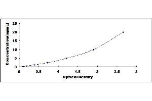 Typical standard curve (CHRNA7 ELISA Kit)