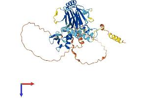 IRF7 Protein (AA 1-457) (His tag)