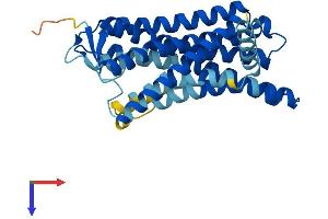 OR2T8 Protein (AA 1-312) (His tag)