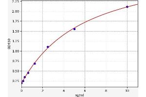 CD86 ELISA Kit