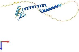 FIGLA Protein (AA 1-194) (His tag)