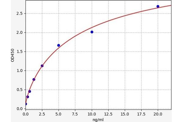 Plakophilin 1 ELISA Kit