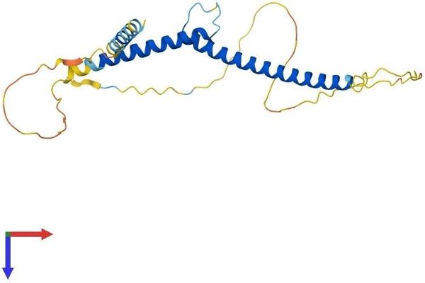 MXI1 Protein (AA 1-228) (His tag)