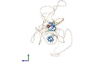 Protein Structure (PS) image for C-Jun-Amino-Terminal Kinase-Interacting Protein 2 (JIP-2) (AA 1-824) protein (His tag) (ABIN7554275)