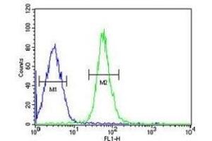 HMGA2 antibody flow cytometric analysis of HepG2 cells (right histogram) compared to a negative control (left histogram). (HMGA2 Antikörper  (AA 64-92))