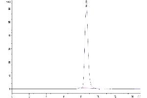 The purity of Human FGFR2 beta (IIIb) is greater than 95 % as determined by SEC-HPLC.