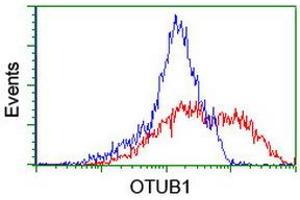 HEK293T cells transfected with either RC210648 overexpress plasmid (Red) or empty vector control plasmid (Blue) were immunostained by anti-OTUB1 antibody (ABIN2455953), and then analyzed by flow cytometry. (OTUB1 Antikörper)