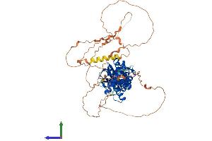 Protein Structure (PS) image for SUMO/sentrin Specific Peptidase 3 (SENP3) (AA 1-568) protein (His tag) (ABIN7565020)
