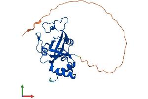 Protein Structure (PS) image for Thymocyte Nuclear Protein 1 (THYN1) (AA 1-225) protein (His tag) (ABIN7544317)
