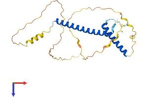 Neurogenin 1 Protein (NEUROG1) (AA 1-244) (His tag)