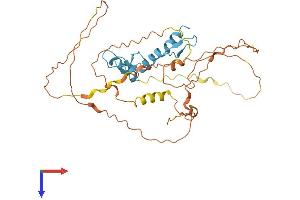 KLF1 Protein (AA 1-358) (His tag)