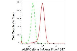 Flow cytometric analysis of AMPK alpha 1 expression in HepG2 cells using AMPK alpha 1 antibody (ABIN7800007), 1:2,000). (Rekombinanter PRKAA1 Antikörper)