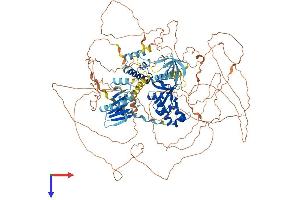 ALG13 Protein (AA 1-1137) (His tag)