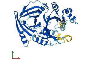 Protein Structure (PS) image for 4-Hydroxyphenylpyruvate Dioxygenase-Like (HPDL) (AA 1-371) protein (His tag) (ABIN7559491)