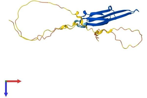 HSPB8 Protein (AA 1-196) (His tag)