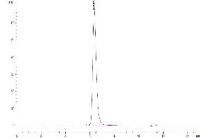 Size-exclusion chromatography-High Pressure Liquid Chromatography (SEC-HPLC) image for Butyrophilin, Subfamily 1, Member A1 (BTN1A1) (AA 27-242) protein (Fc Tag) (ABIN7274005)