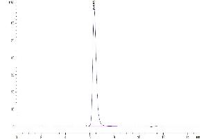 The purity of Human BTN1A1 is greater than 95 % as determined by SEC-HPLC. (BTN1A1 Protein (AA 27-242) (Fc Tag))