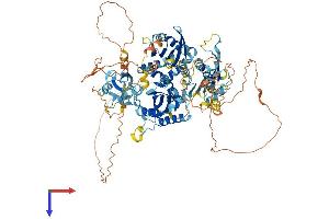 INTU Protein (AA 1-942) (His tag)