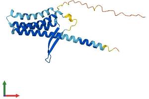 AlphaFold protein structure predicition of Mouse Recombinant Tvp23b Protein, UniprotID Q9D8T4 (TVP23C/FAM18B2 Protein (AA 1-205) (His tag))