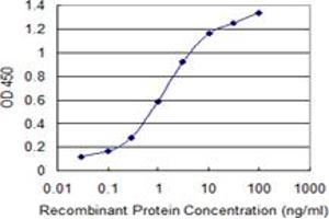 Detection limit for recombinant GST tagged SMAD7 is 0. (SMAD7 Antikörper  (AA 160-260))