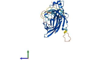 Protein Structure (PS) image for Polymerase (DNA-Directed), delta Interacting Protein 2 (POLDIP2) (AA 1-368) protein (His tag) (ABIN7559982)