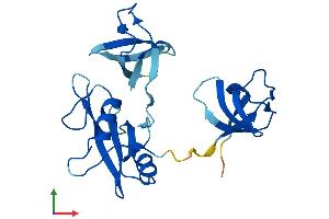 Protein Structure (PS) image for Growth Factor Receptor-Bound Protein 2 (GRB2) (AA 1-217) protein (His tag) (ABIN7557582)