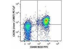 Flow Cytometry (FACS) image for anti-Chemokine (C-X-C Motif) Receptor 5 (CXCR5) antibody (PE-Cy7) (ABIN2659140) (CXCR5 Antikörper  (PE-Cy7))