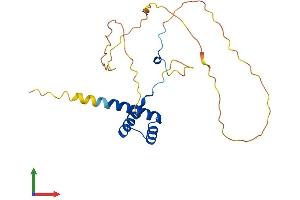 AlphaFold protein structure predicition of Mouse Recombinant Hoxb6 Protein, UniprotID P09023 (HOXB6 Protein (AA 1-224) (His tag))