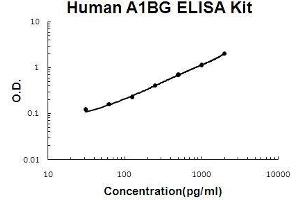 Human A1BG/alpha 1B-Glycoprotein PicoKine ELISA Kit standard curve