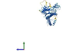 Protein Structure (PS) image for Tripartite Motif Containing 31 (TRIM31) (AA 1-507) protein (His tag) (ABIN7559634)