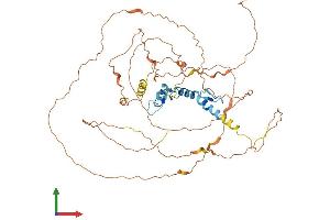 Protein Structure (PS) image for Early Growth Response 1 (EGR1) (AA 1-533) protein (His tag) (ABIN7562757)