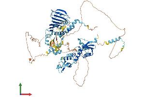 Protein Structure (PS) image for PMS2 Postmeiotic Segregation Increased 2 (S. Cerevisiae) (PMS2) (AA 1-859) protein (His tag) (ABIN7563447)