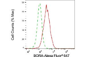 Flow cytometric analysis of BORA expression in HepG2 cells using BORA antibody (ABIN7799975), 1:2,000). (Rekombinanter BORA Antikörper)