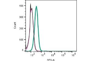 Cell surface detection of CD9 by indirect flow cytometry in live intact human  monocytic leukemia cell line: + goat-anti-rabbit-FITC. (CD9 Antikörper  (Extracellular))