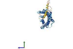 AlphaFold protein structure predicition of Human Recombinant PROKR1 Protein, UniprotID Q8TCW9